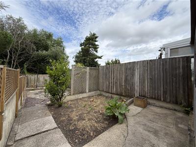 Picture 19